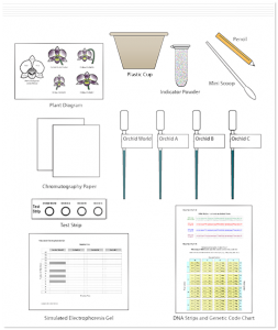 113_FlowerForensics