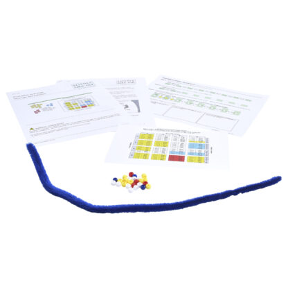 From DNA to Protein Structure and Function - Free Sample - Image 2