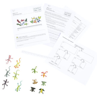 What Is It? Dichotomous Keys