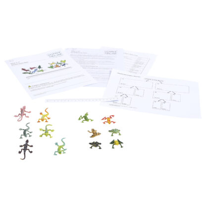 What Is It? Dichotomous Keys - Image 2