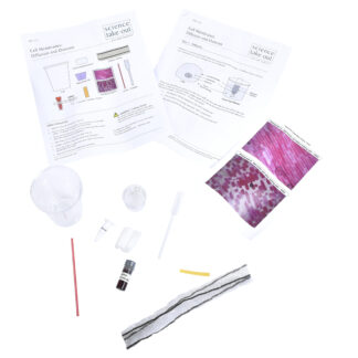 Cell Membranes: Diffusion and Osmosis
