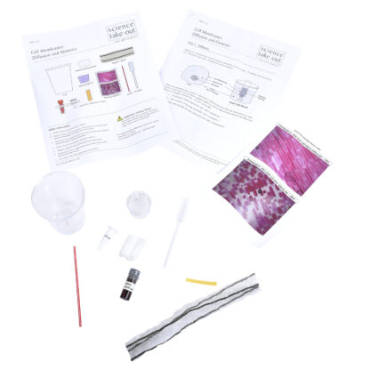 Cell Membranes: Diffusion and Osmosis