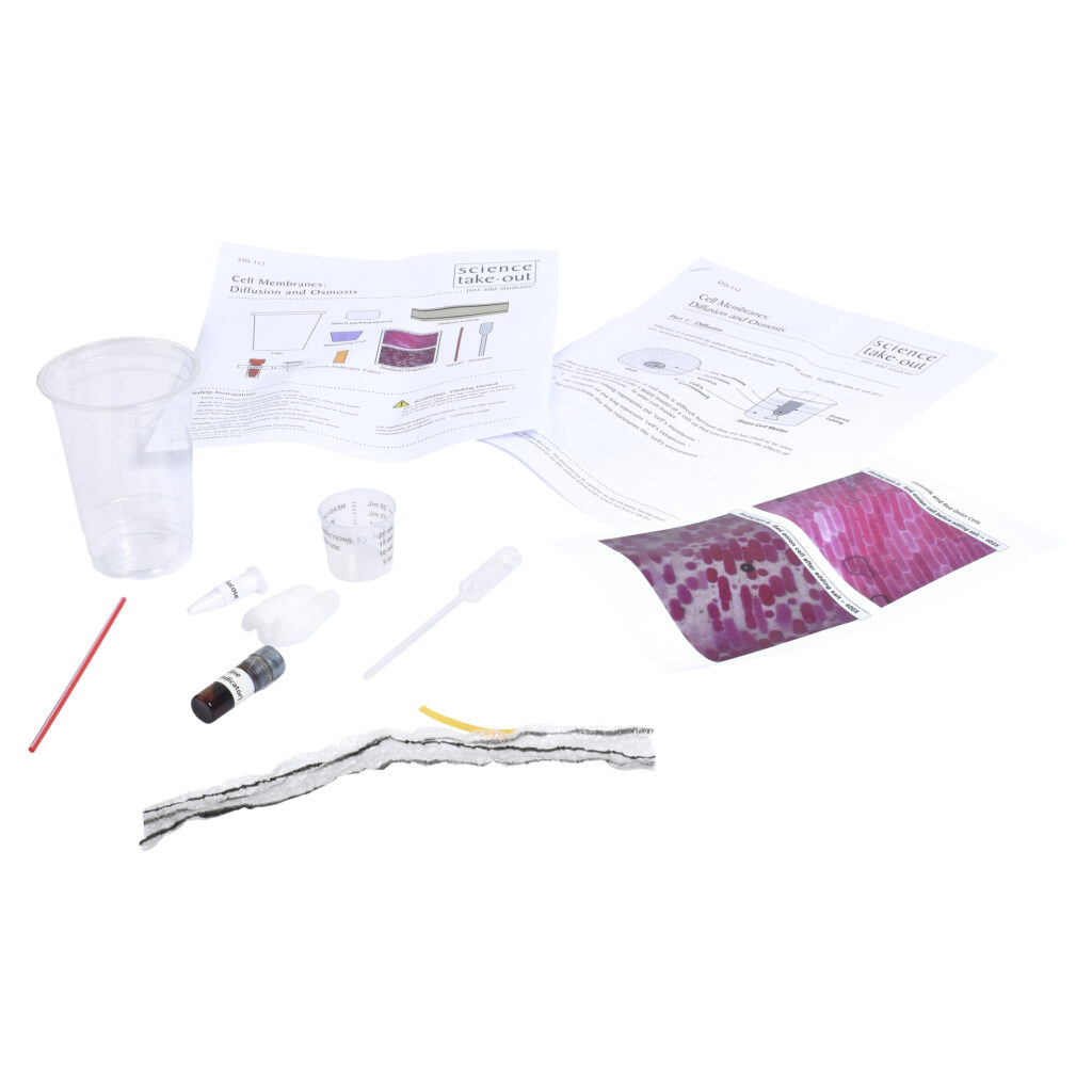 Cell Membranes Diffusion and Osmosis Science TakeOut