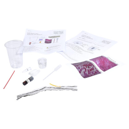 Cell Membranes: Diffusion and Osmosis - Image 2