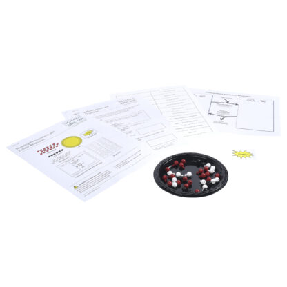 Modeling Photosynthesis and Cellular Respiration - Image 2