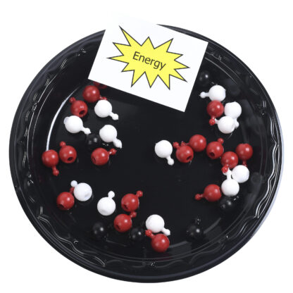 Modeling Photosynthesis and Cellular Respiration - Image 3
