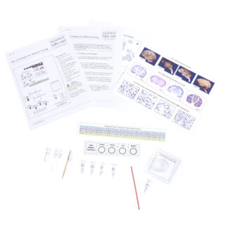 Use of Animals for Medical Testing