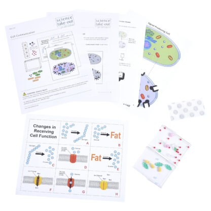 Cell Communication