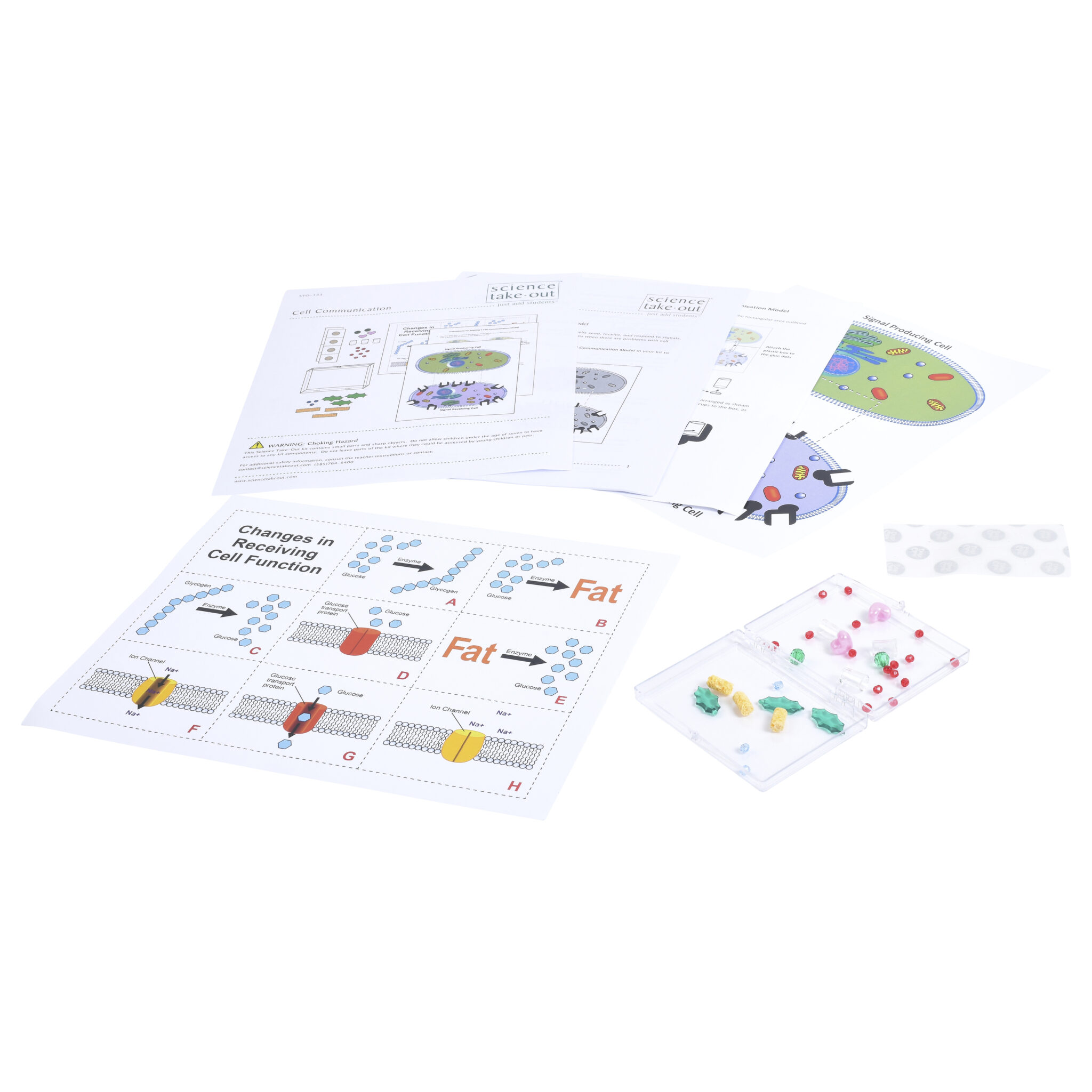 Cell Communication | Science Take-Out | Hands-On Learning Kit