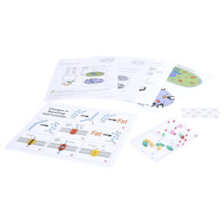 Cell Communication | Science Take-Out | Hands-On Learning Kit