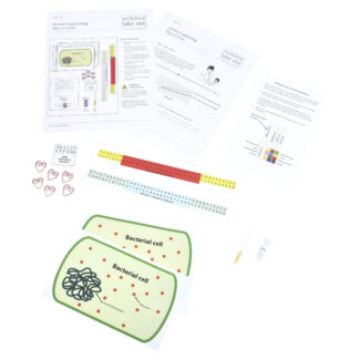Genetic Engineering: Way to Grow