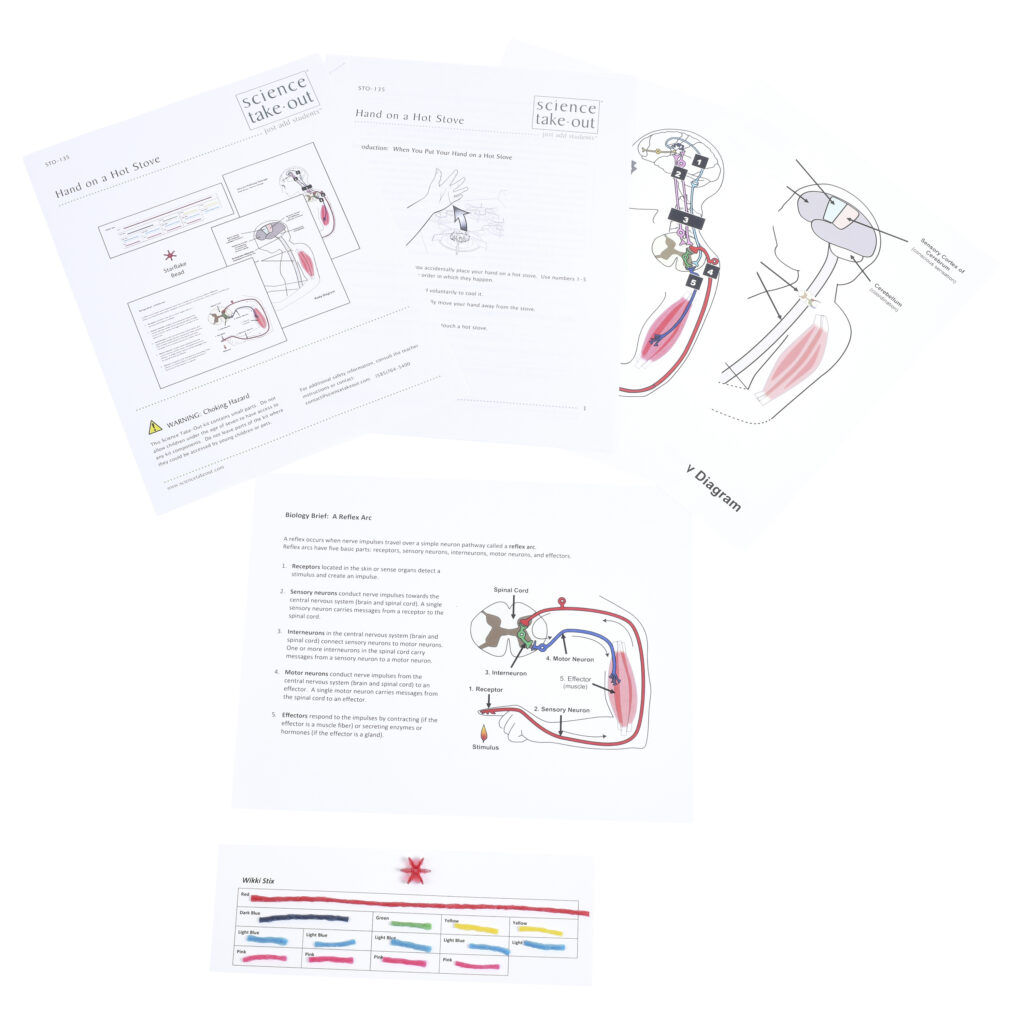 Cell Biology Lab Experiments | Science Take-Out | Hands-On Learning Kits