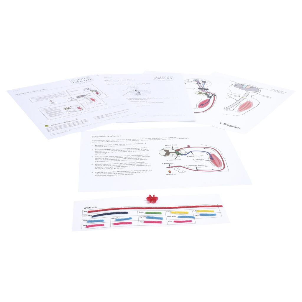 Hand on a Hot Stove Science TakeOut HandsOn Learning Kit