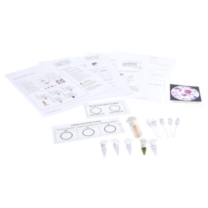 Disease Detectives - Image 2
