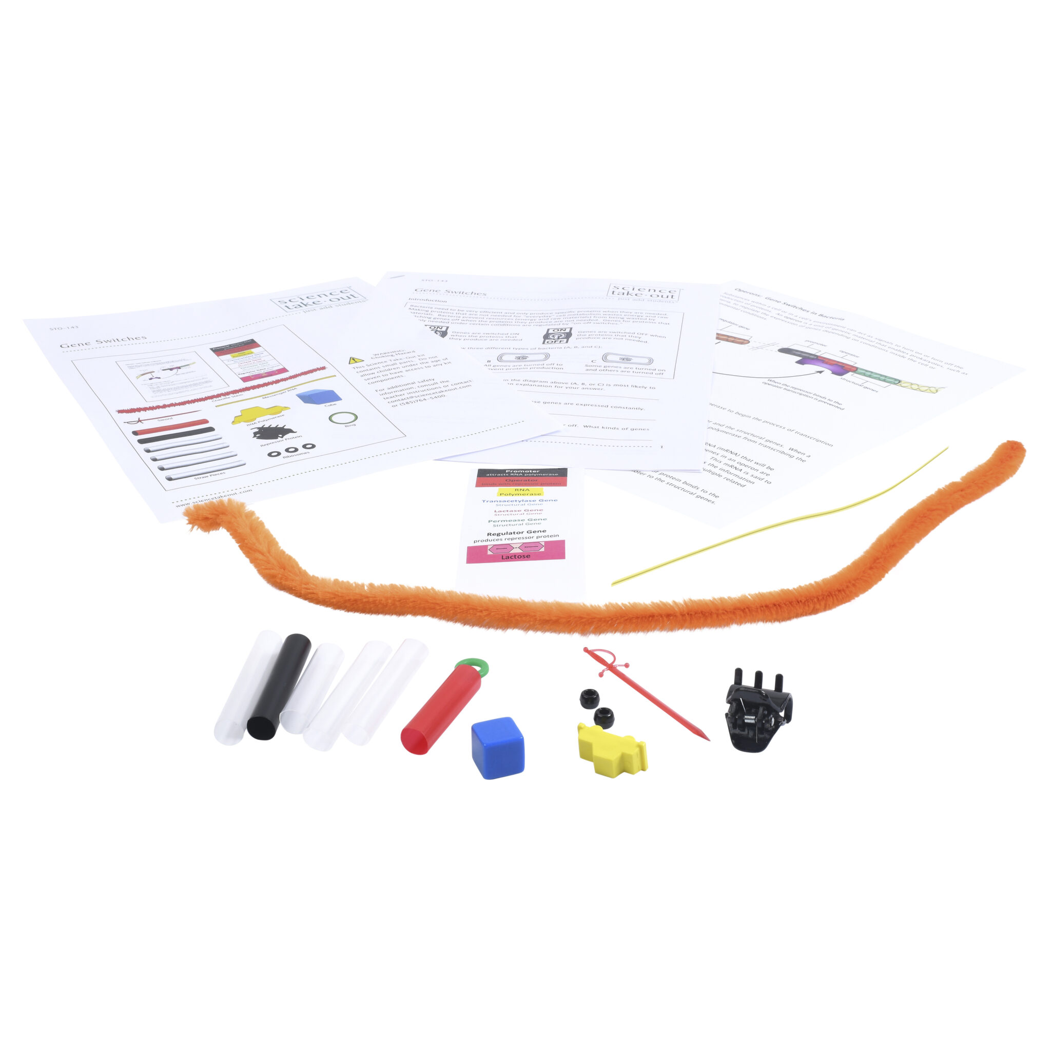 Gene Switches Science TakeOut HandsOn Learning Kits