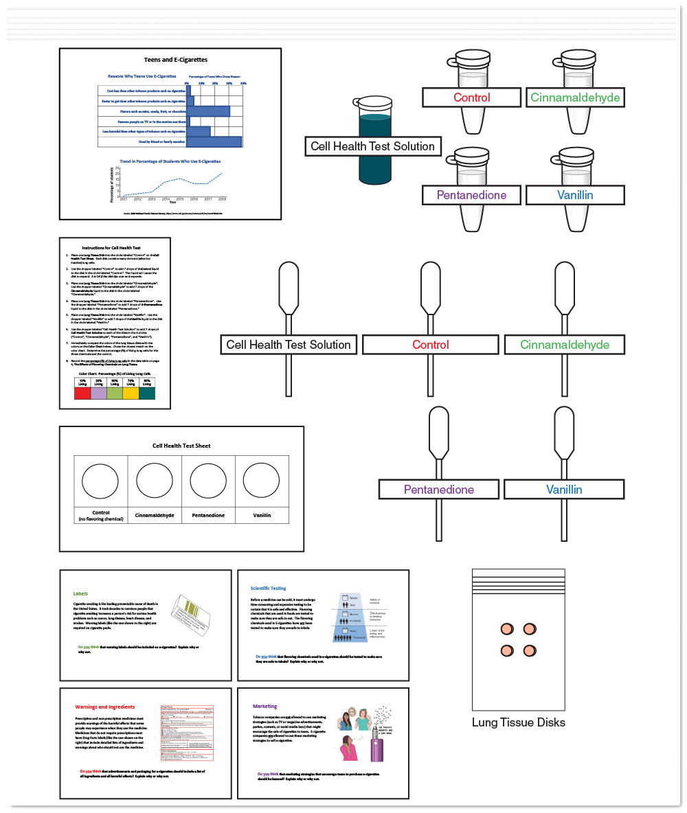 Gene Switches Science TakeOut