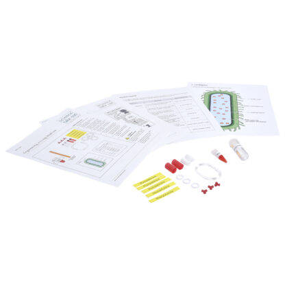 Engineering a Living Medicine - Image 2