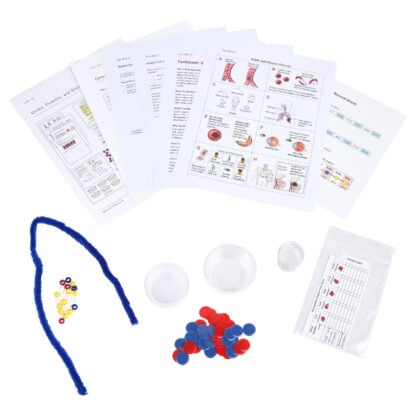 Genes, Proteins, and Sickle Cells